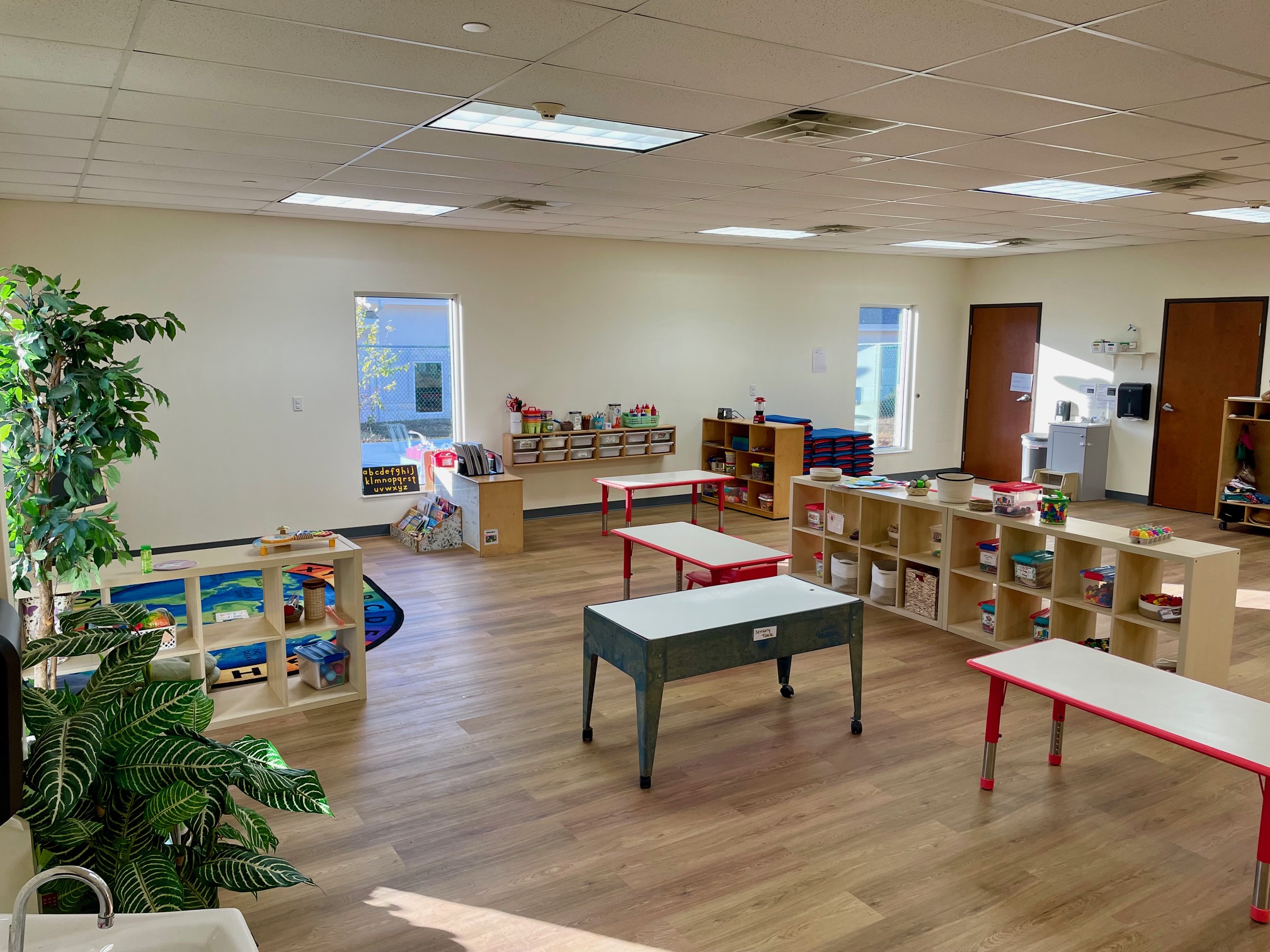 Texas Spanish Academy photo 3