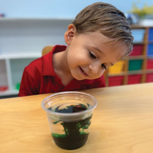 Montessori Academy of Harlingen photo 4