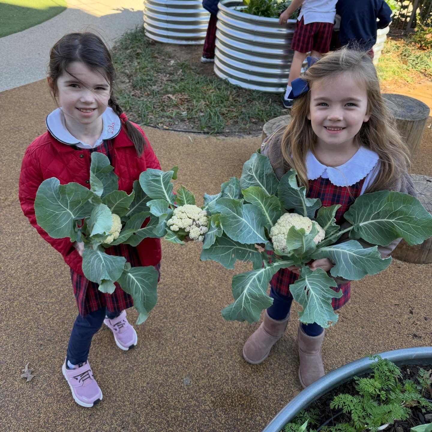 Highland Park Presbyterian Day School
