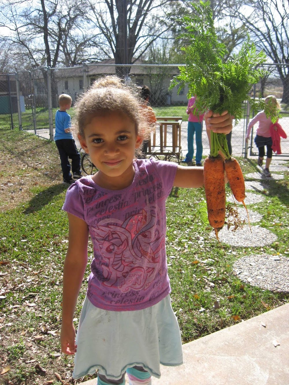 Traditions Montessori School