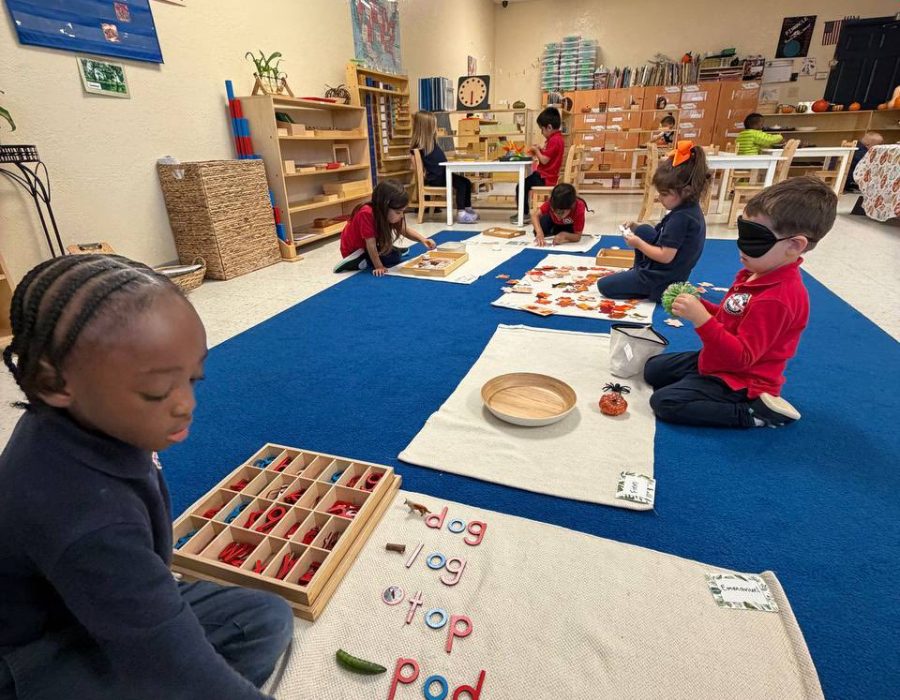 Pinnacle Montessori of Alamo Ranch