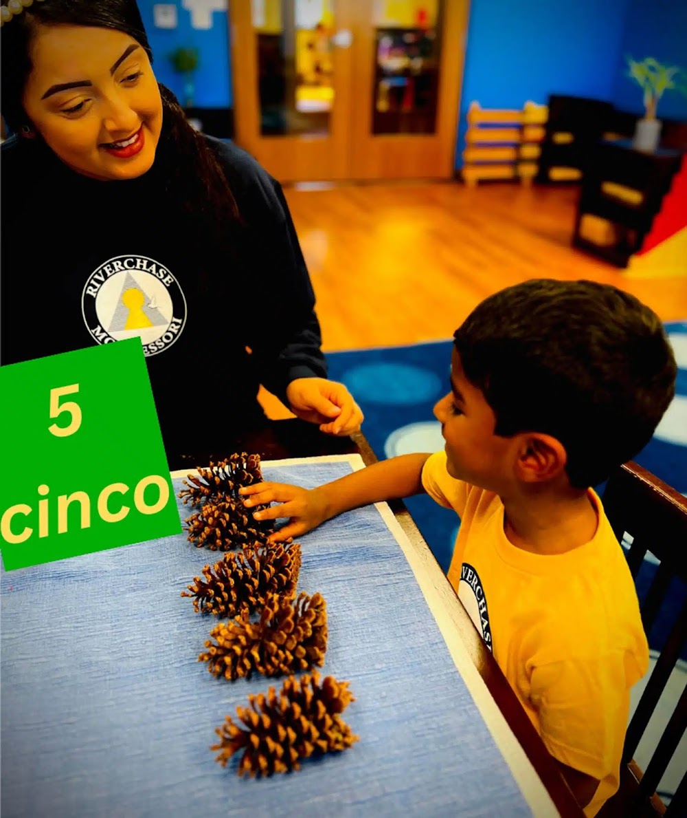 Riverchase Montessori School