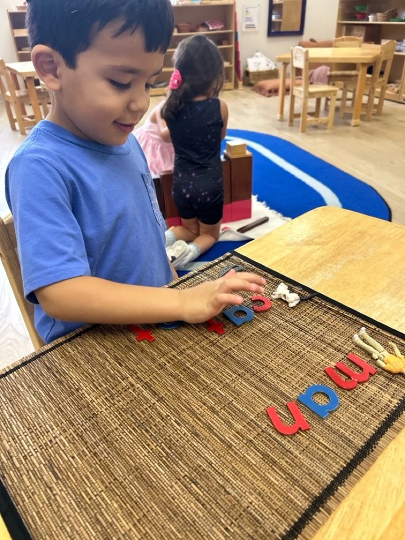 Goldberg Montessori School photo 2