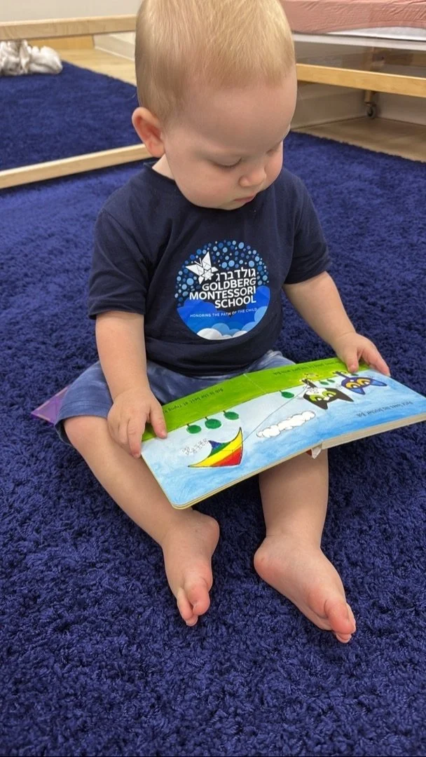 Goldberg Montessori School photo 5