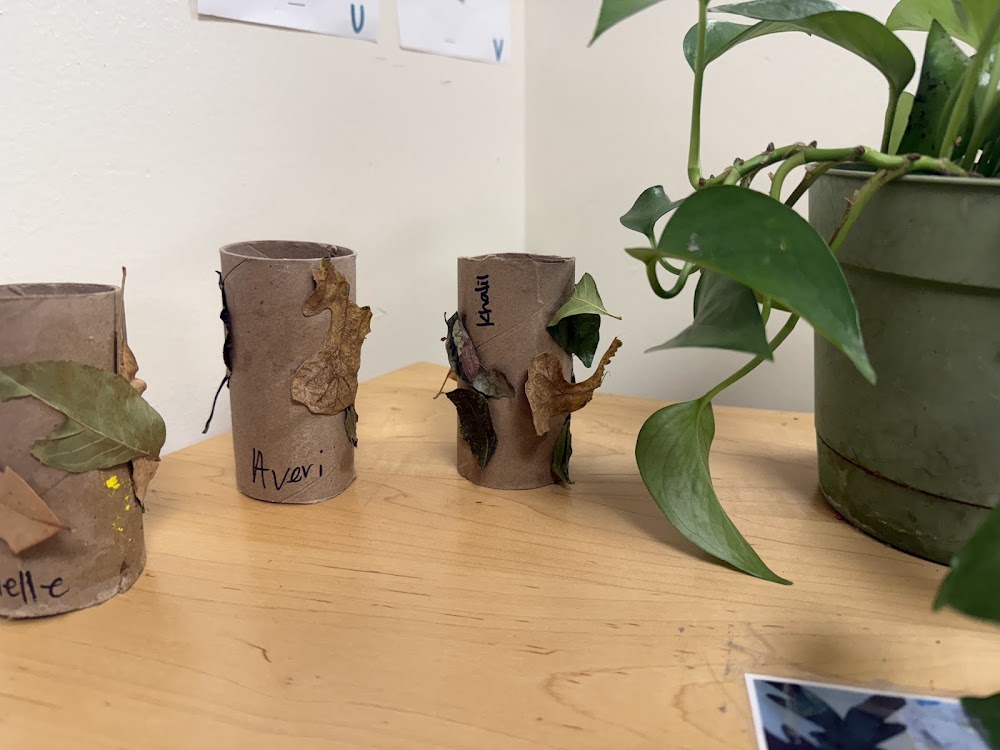 Koala Cubs Learning Academy photo 5