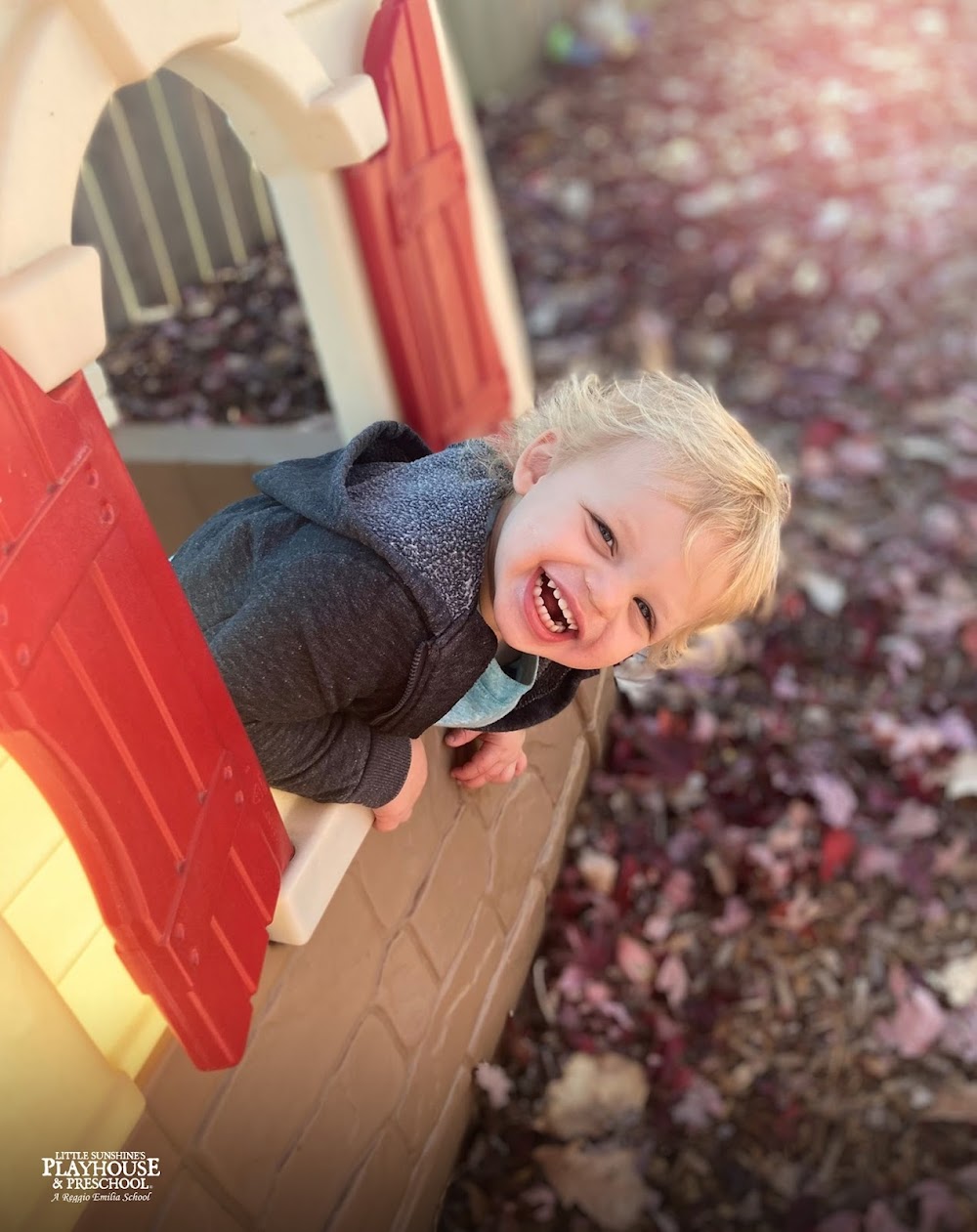 Little Sunshine's Playhouse of Southlake, TX photo 3