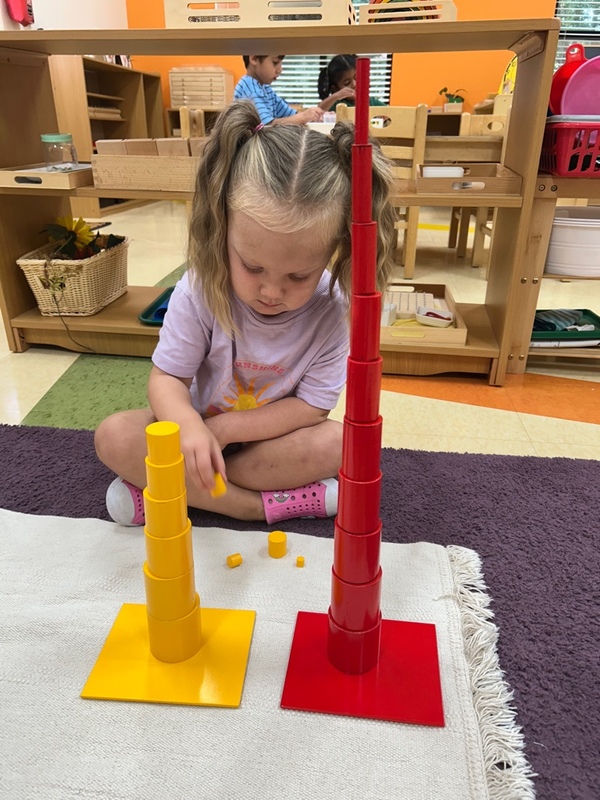 Creative Minds Montessori