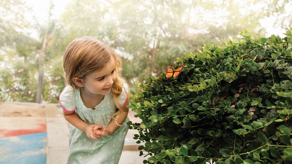 Primrose School of Richardson photo 4