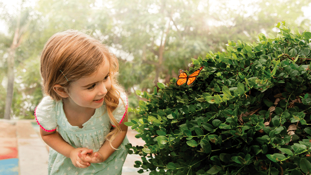 Primrose School of Sienna