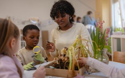 The Lighthouse School of Excellence - Willis photo 3