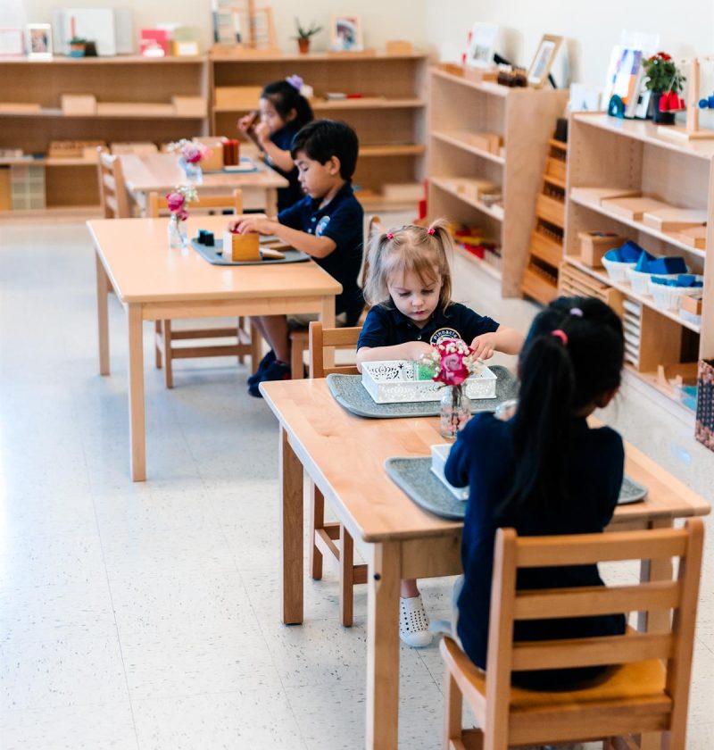 Pinnacle Montessori of Frisco