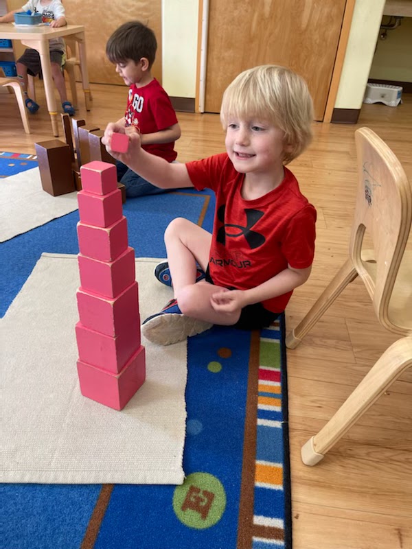 The Seedlings Montessori School