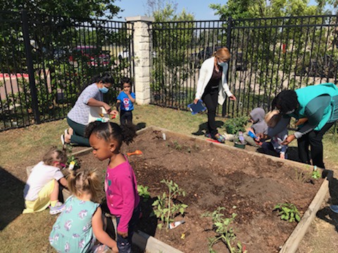 The Seedlings Montessori School photo 5