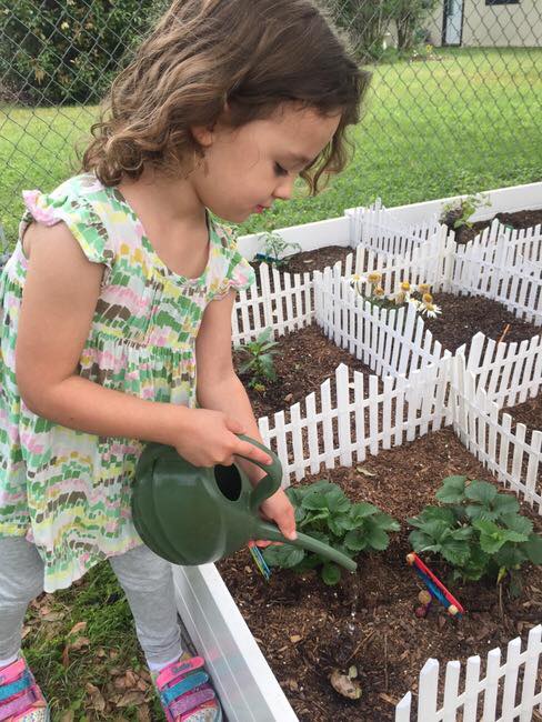 Prep N' Play Academy photo 3