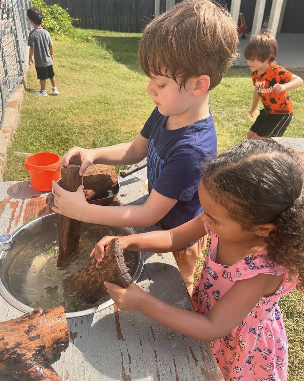 Firefly Community School