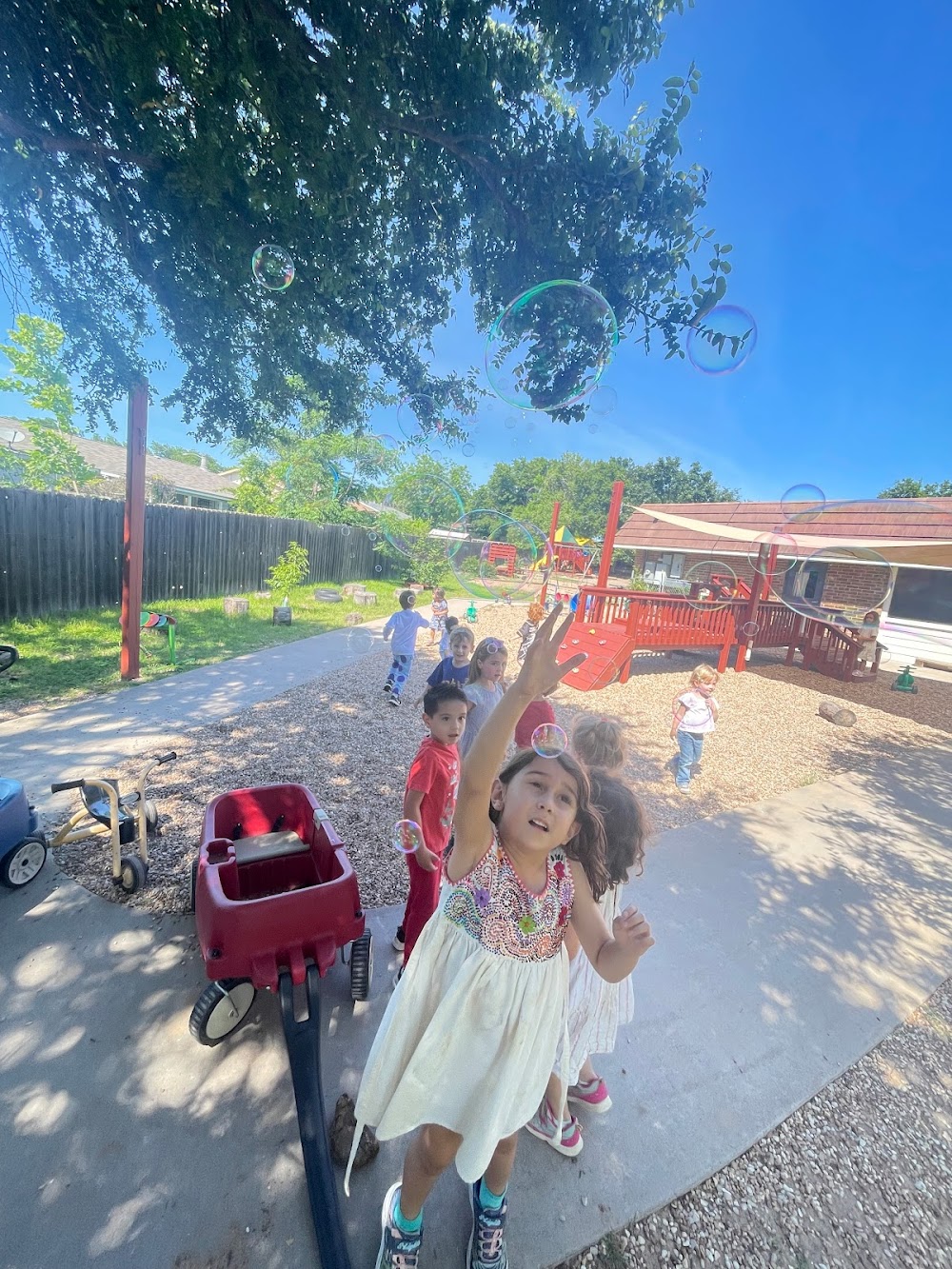 Mundo Verde Montessori photo 4