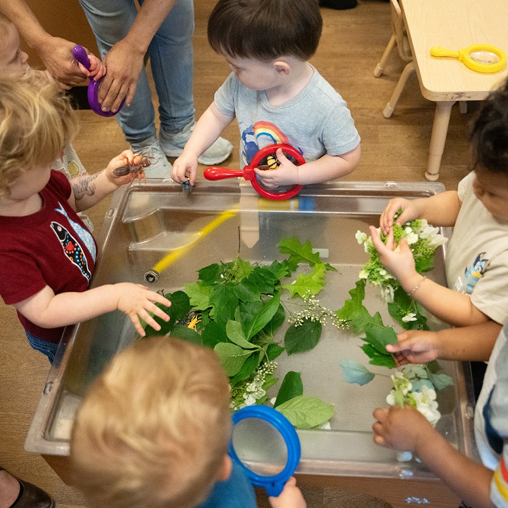 Everbrook Academy of Kirkland