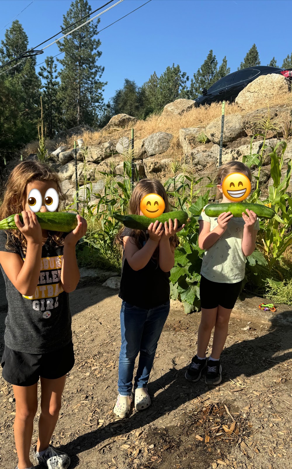 Flora and Fauna Learning Center SPC