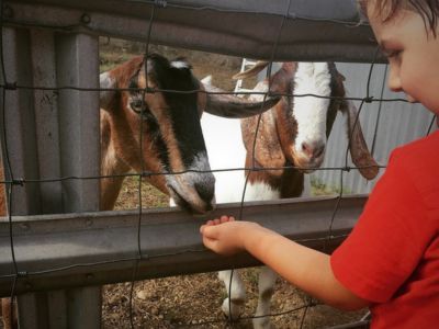 Mama Melli Childcare Center photo 3