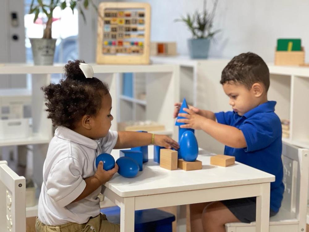 Schola International photo 3