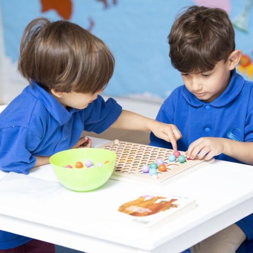 Schola International