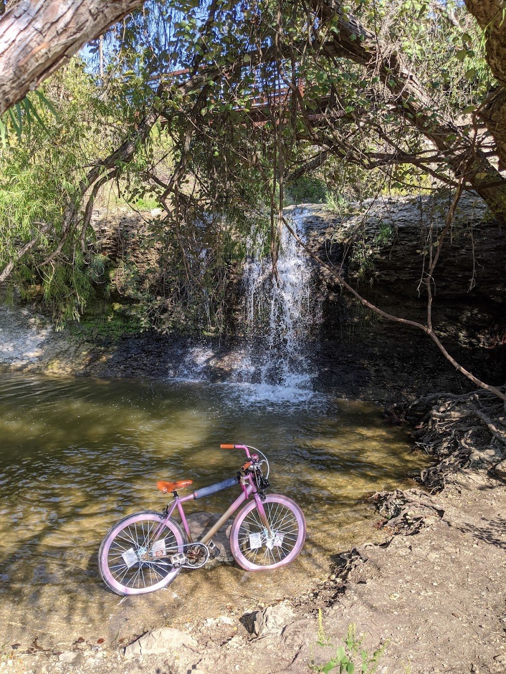 Anderson Mill Ymca Of Central Texas photo 2