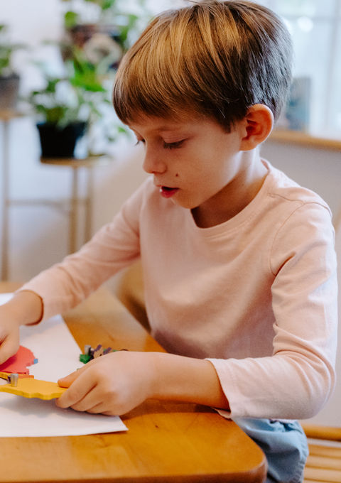 La Tribu Rural photo 5