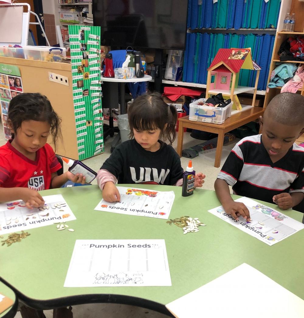 Aisd Harris Apple Blossom photo 2